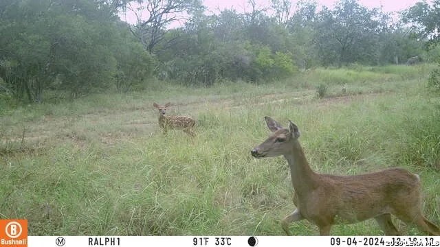 TBD Ralph Coughran Pleasanton, TX 78064