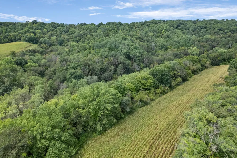 N7255 Holley Road Holmen, WI 54636