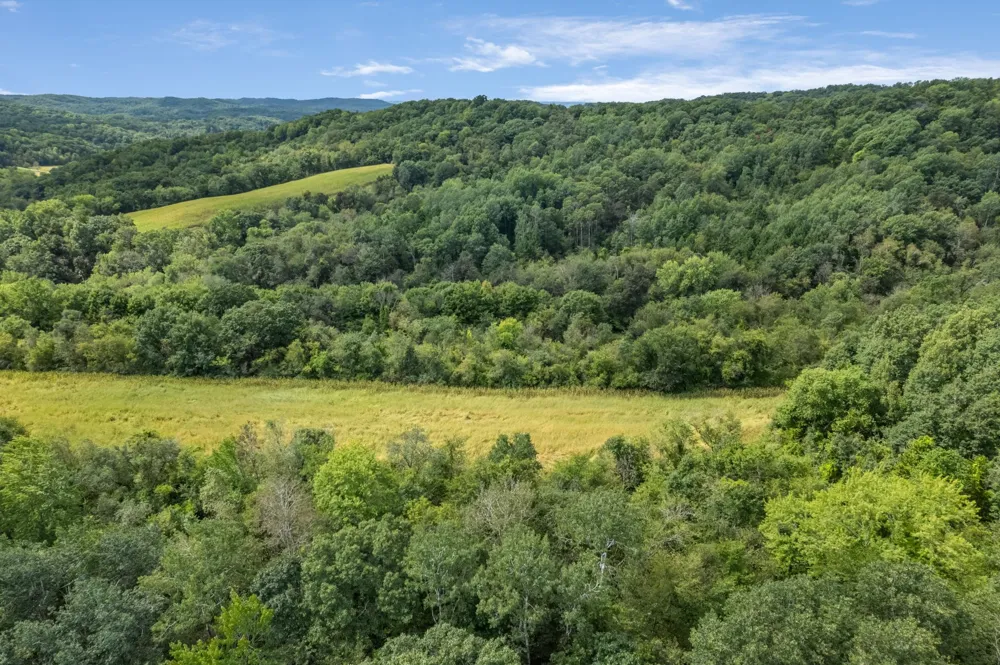N7255 Holley Road Holmen, WI 54636