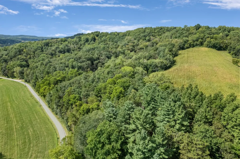 N7255 Holley Road Holmen, WI 54636