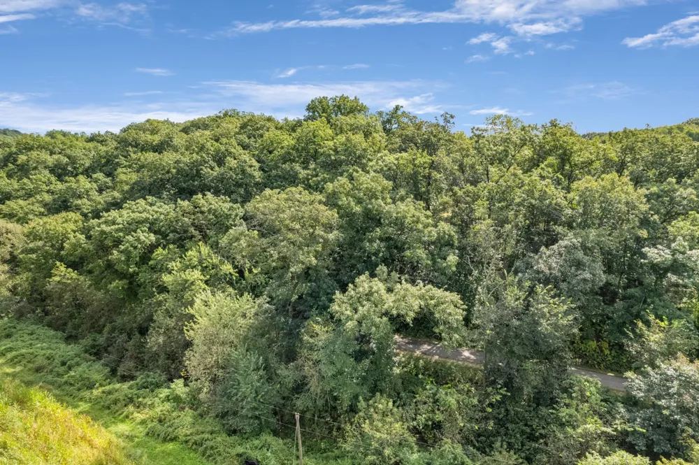 N7255 Holley Road Holmen, WI 54636