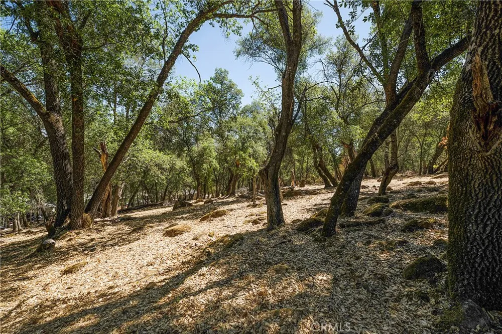 18876 Timber Point Road Hidden Valley Lake, CA 95467