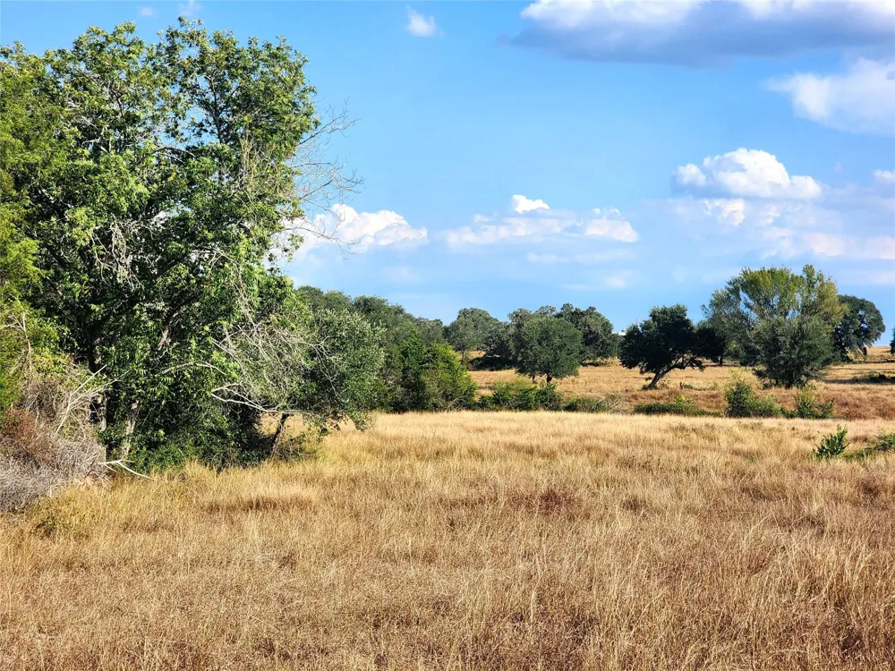 Tbd Fm 318 Hallettsville, TX 77964