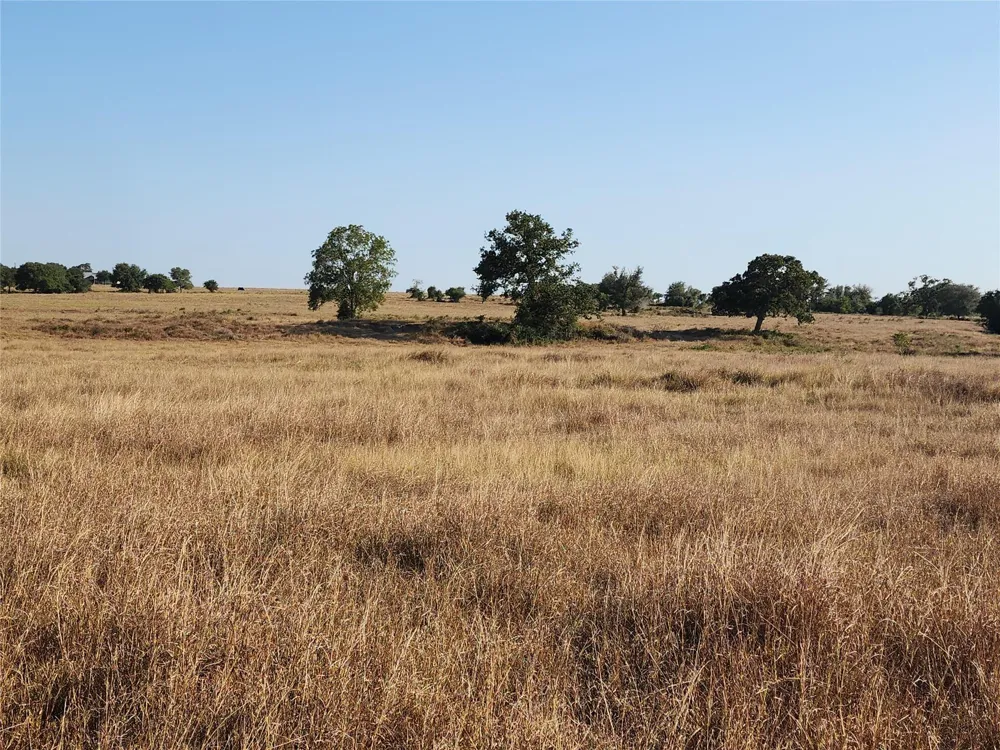 Tbd Fm 318 Hallettsville, TX 77964
