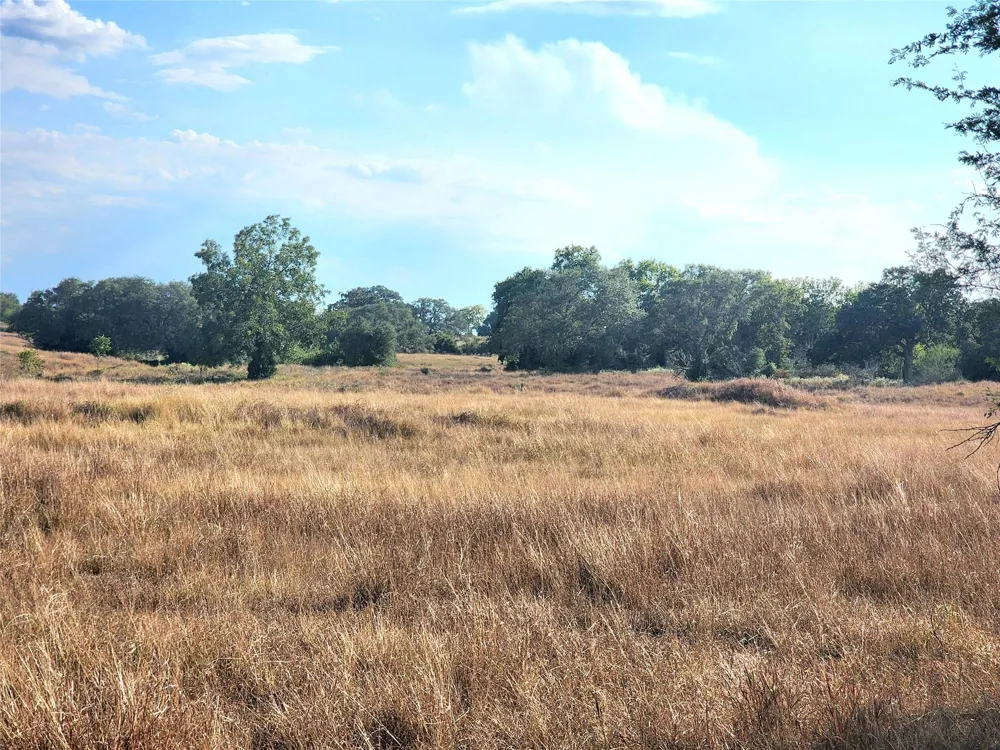 Tbd Fm 318 Hallettsville, TX 77964