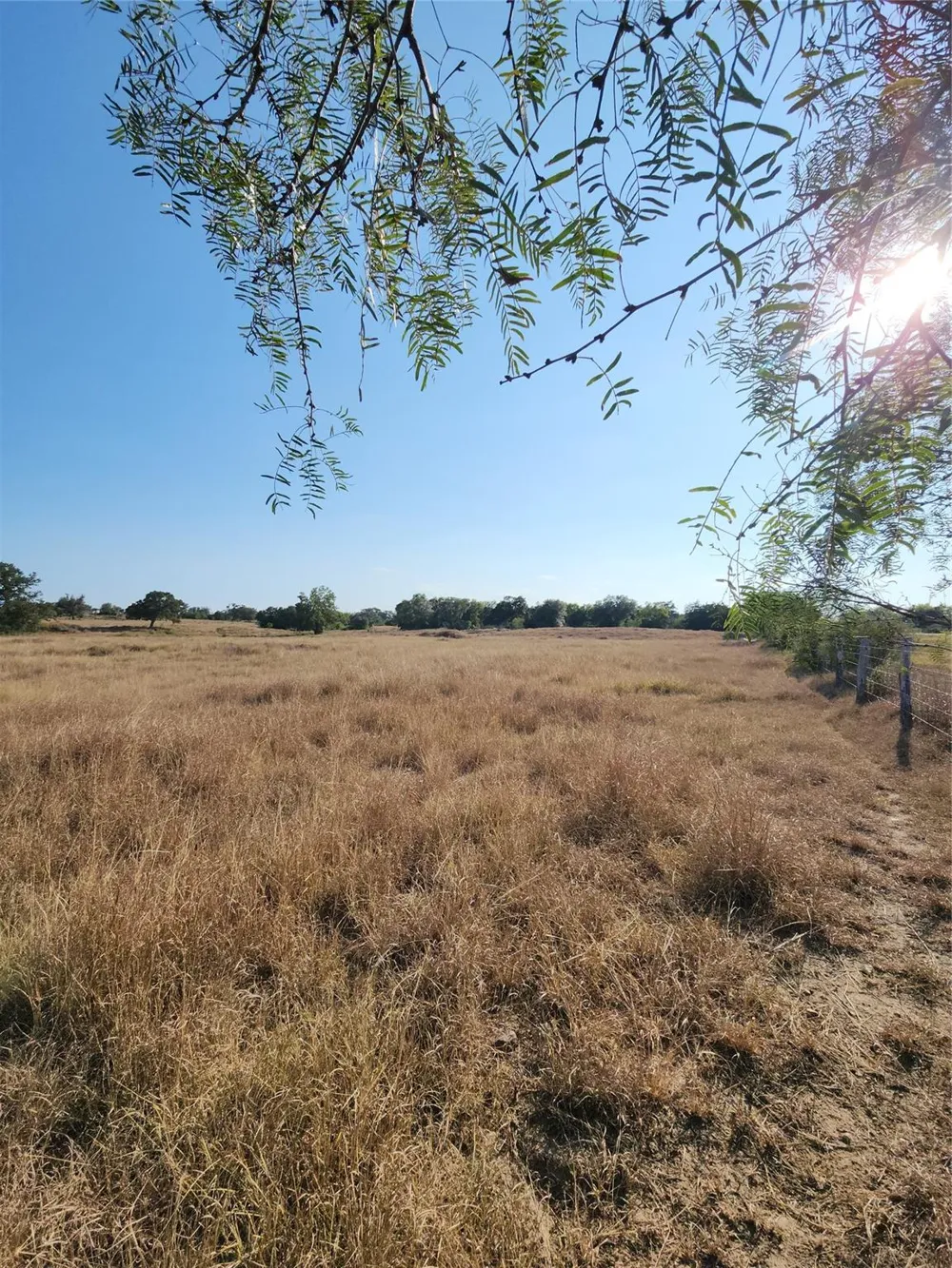 Tbd Fm 318 Hallettsville, TX 77964