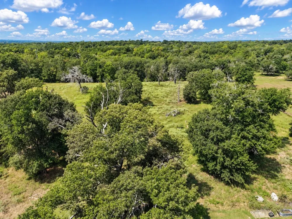 3881 Us Highway 75 Buffalo, TX 75831