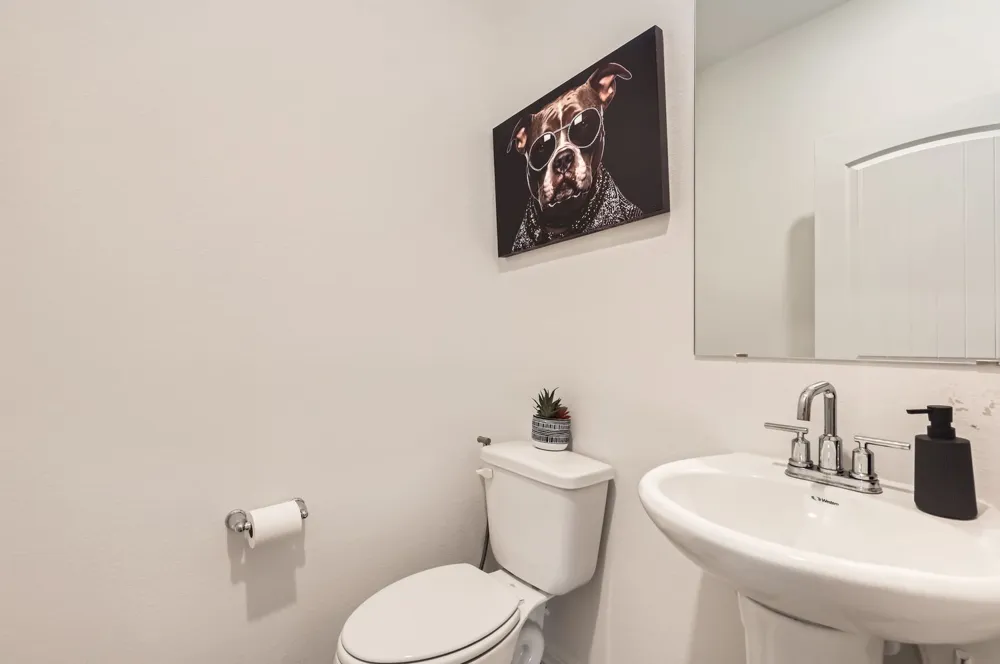 2832 Indian Clover Trail Leander, TX 78641
