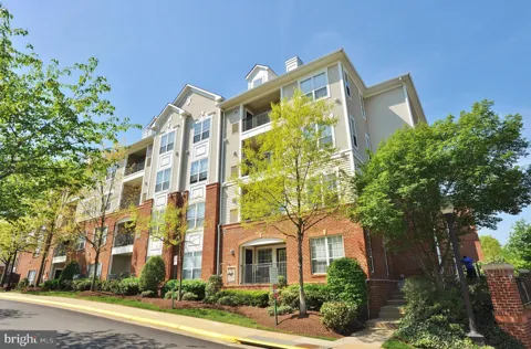 4850 EISENHOWER AVENUE #217