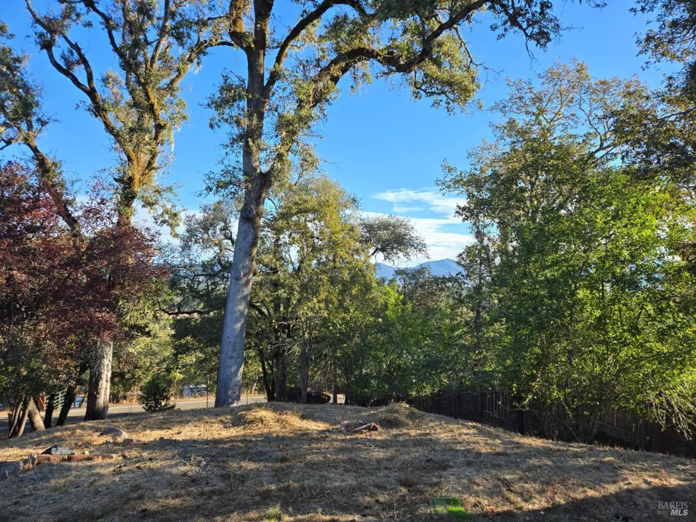 20851 Locust Street Willits, CA 95490