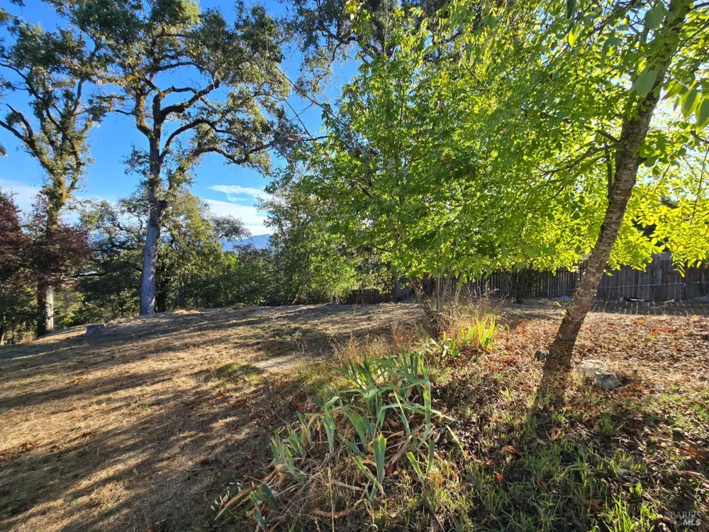 20851 Locust Street Willits, CA 95490