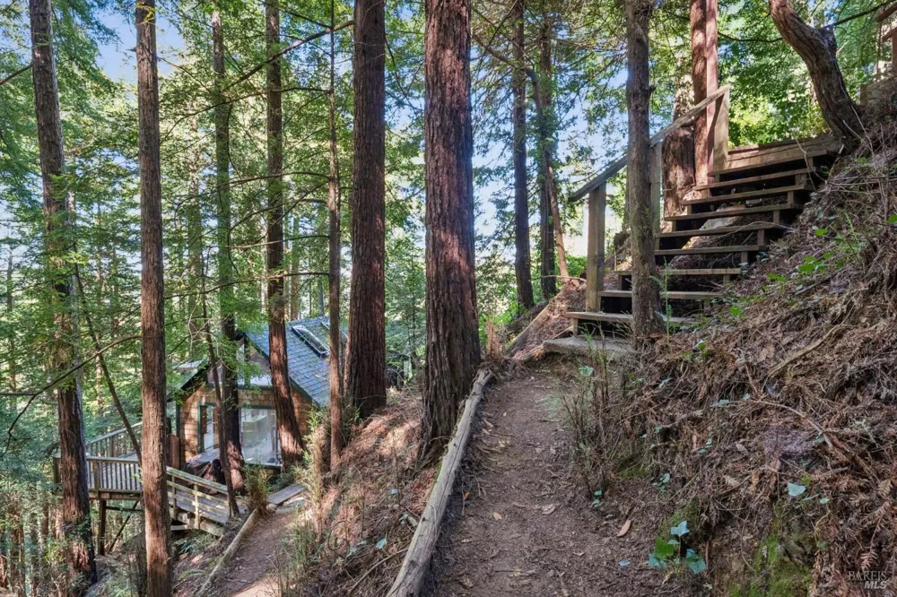 Address Not Shown Mill Valley, CA 94941