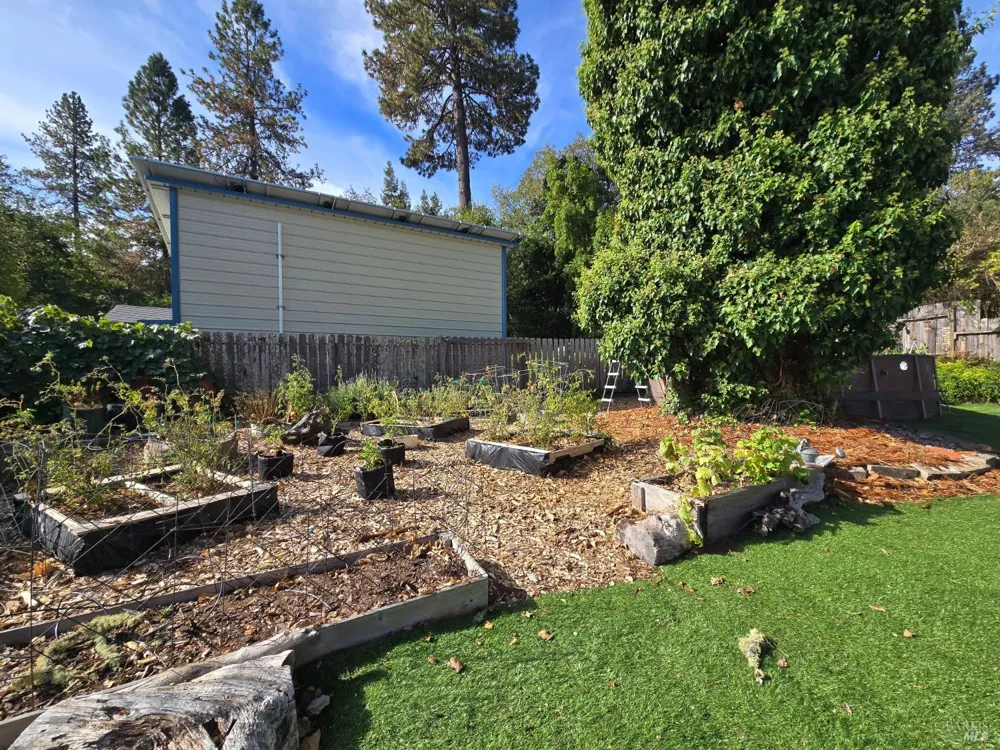 321 Pine Street Willits, CA 95490