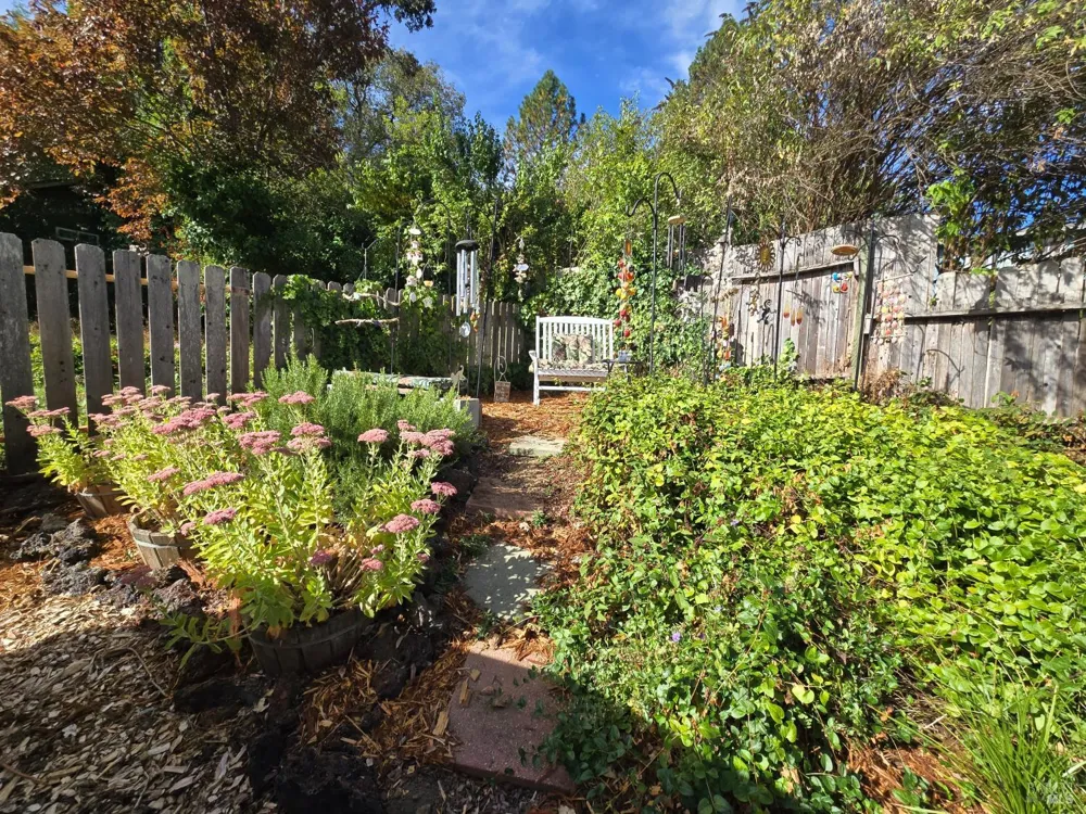 321 Pine Street Willits, CA 95490