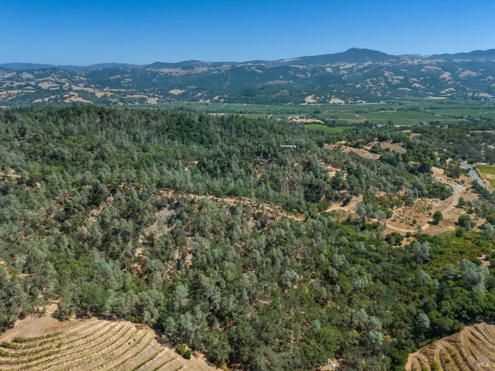 950 Canyon Road Geyserville, CA 95441