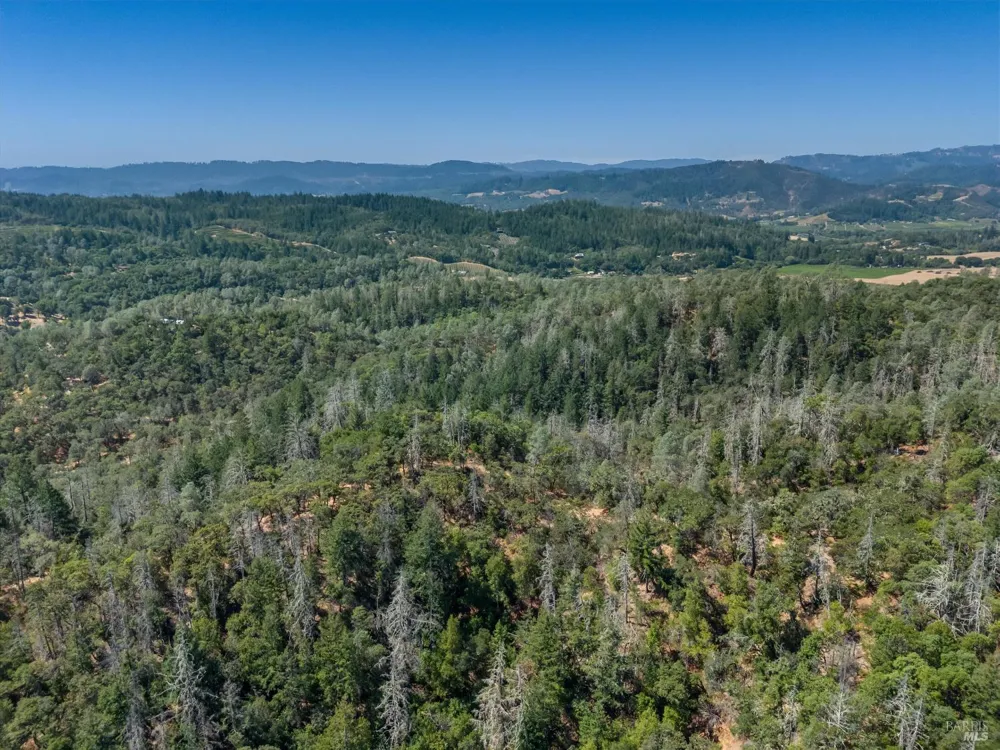 950 Canyon Road Geyserville, CA 95441