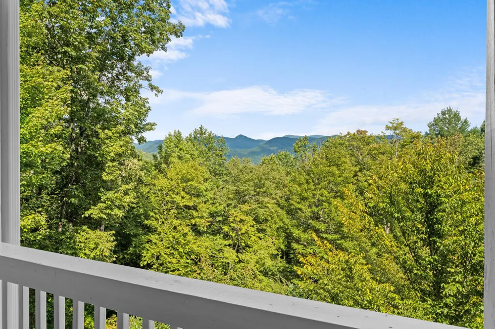 Carpenter Rd Otto, NC 28763