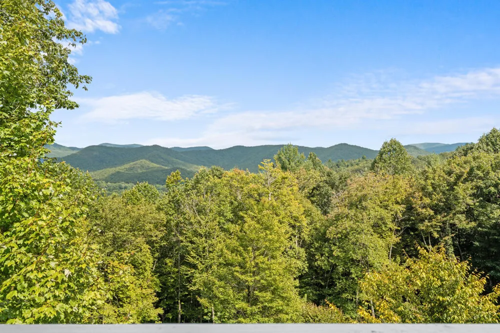 Carpenter Rd Otto, NC 28763