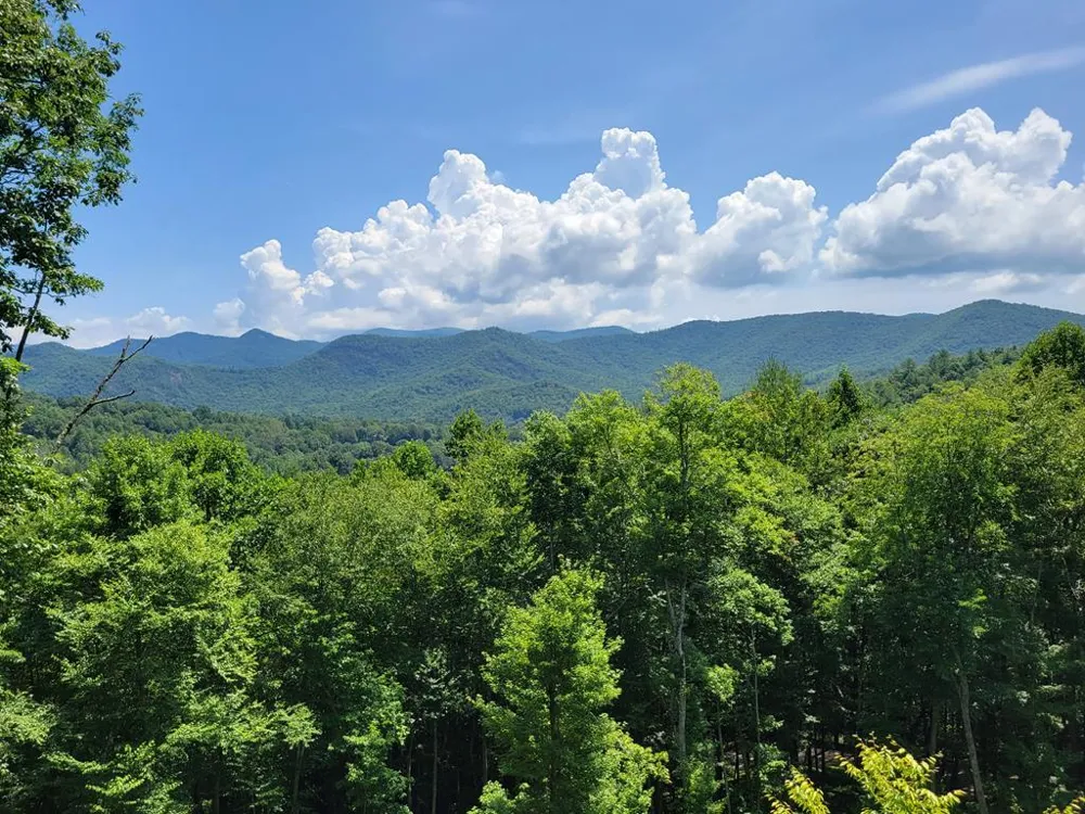 Carpenter Rd Otto, NC 28763