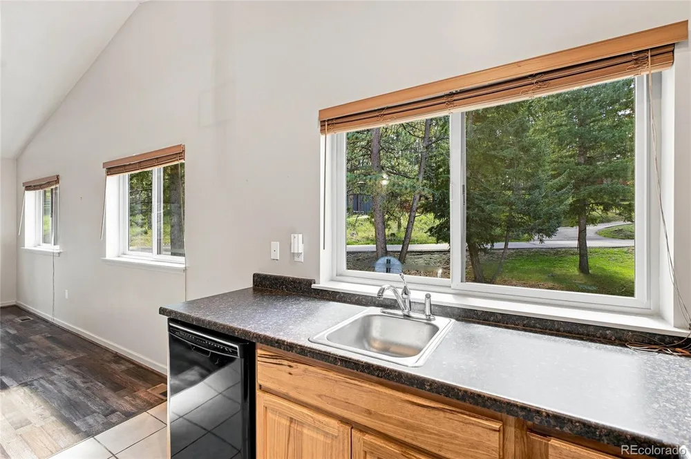28609 Pine Drive Evergreen, CO 80439