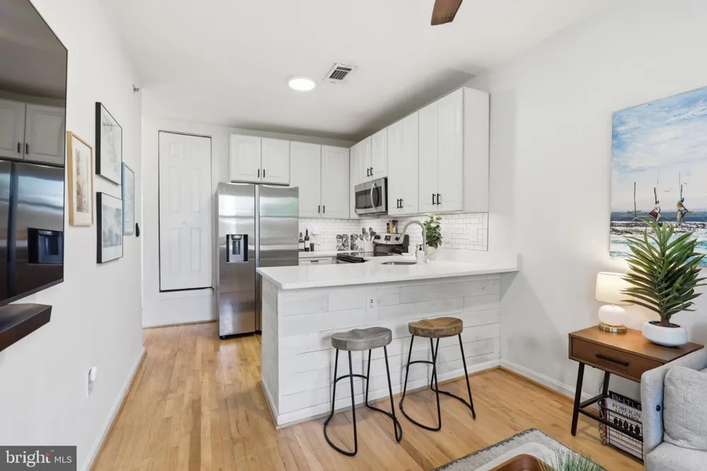 1038 LAMONT NW #3B Washington, DC 20010
