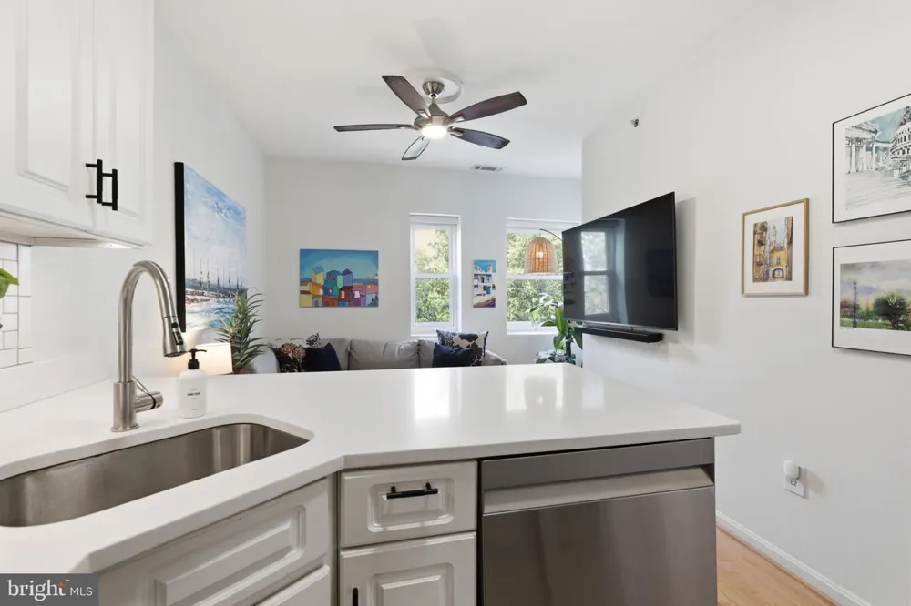 1038 LAMONT NW #3B Washington, DC 20010