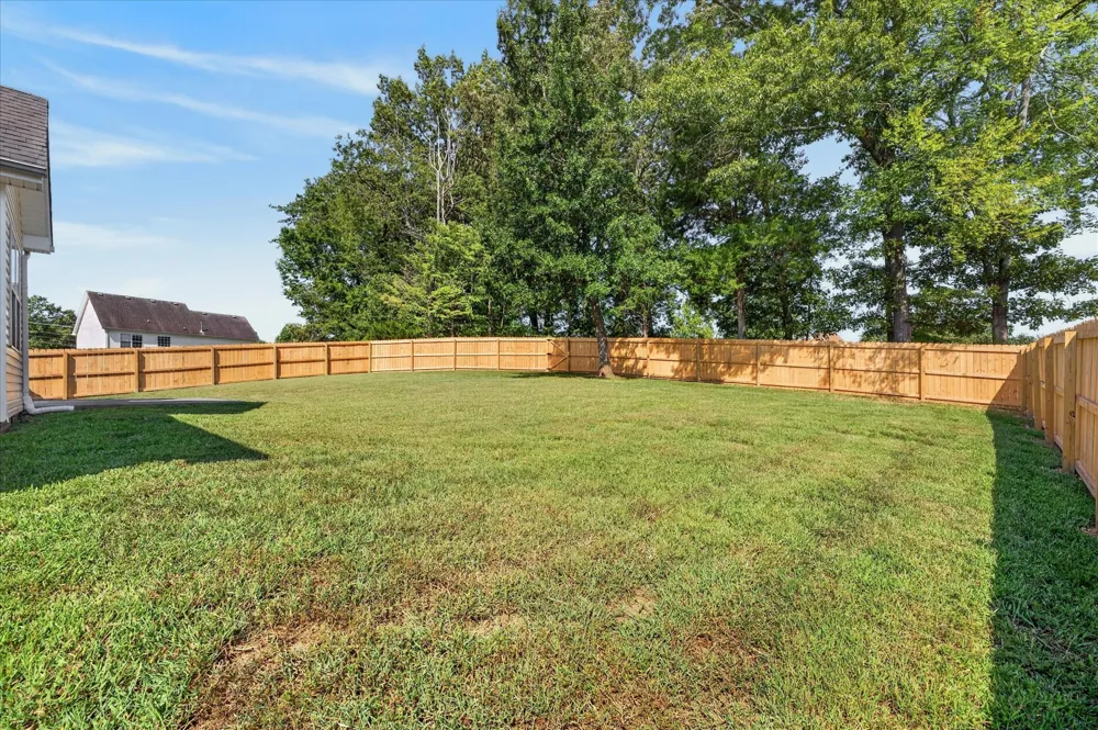 3109 Holly Point Clarksville, TN 37043