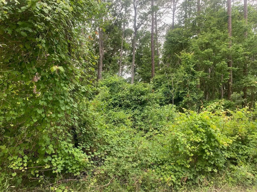 123 Coot Road 
