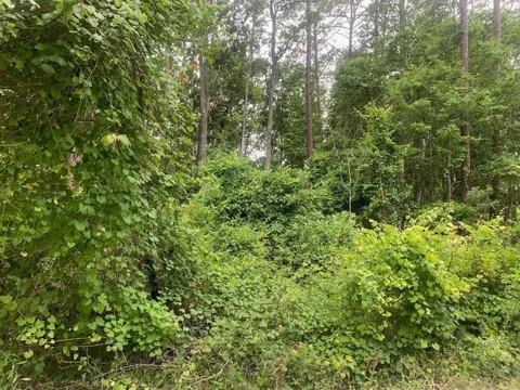 123 Coot Road