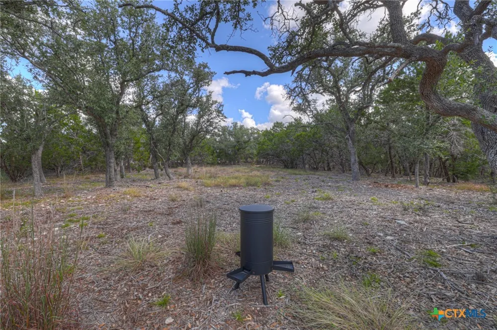 1184 Summit Bluff Canyon Lake, TX 78133