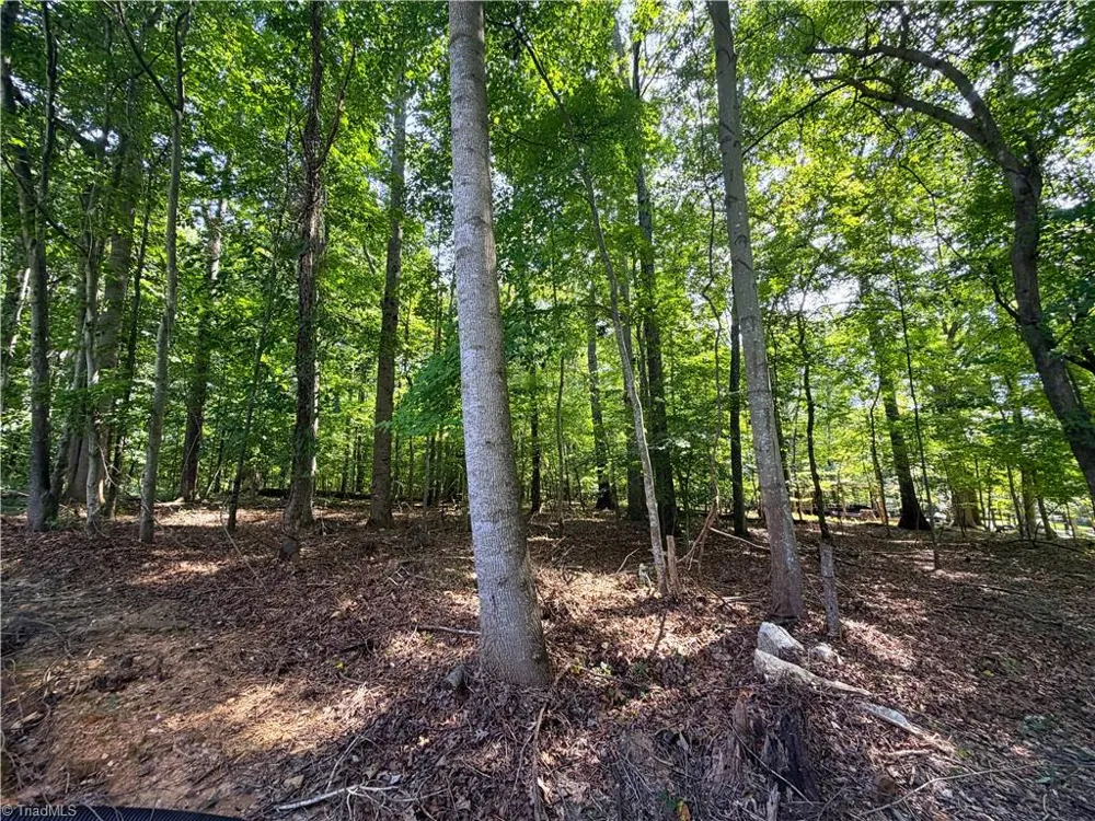 3950 Cole Avenue High Point, NC 27265