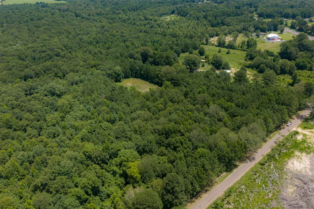 County Road 3154 De Berry, TX 75639