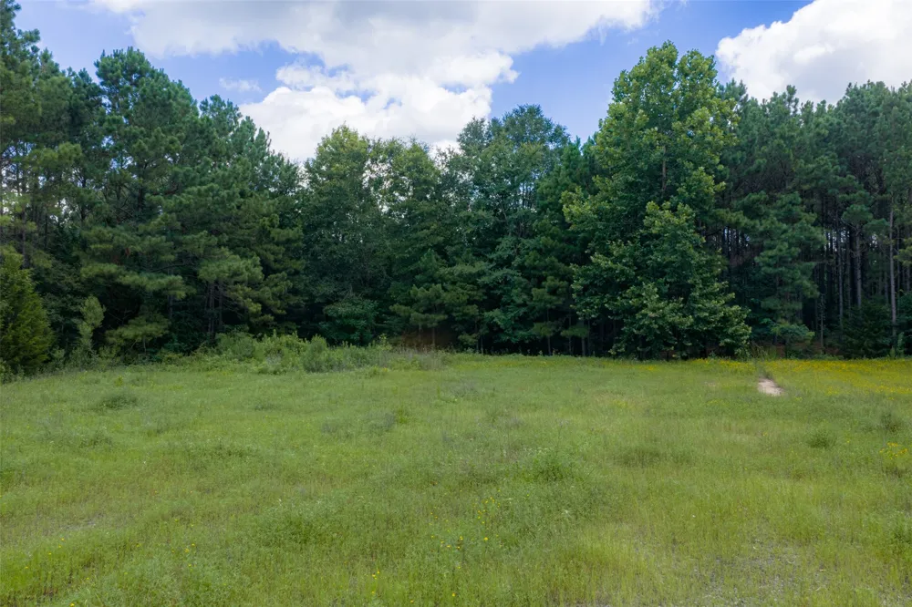 County Road 3154 De Berry, TX 75639