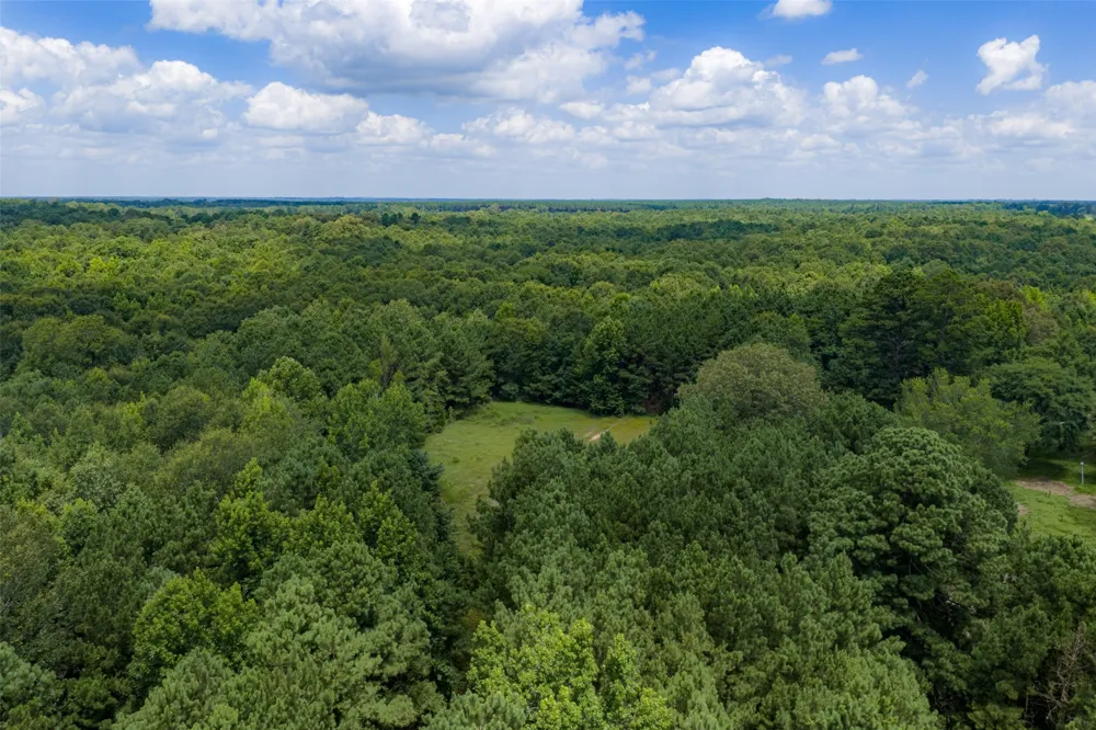 County Road 3154 De Berry, TX 75639