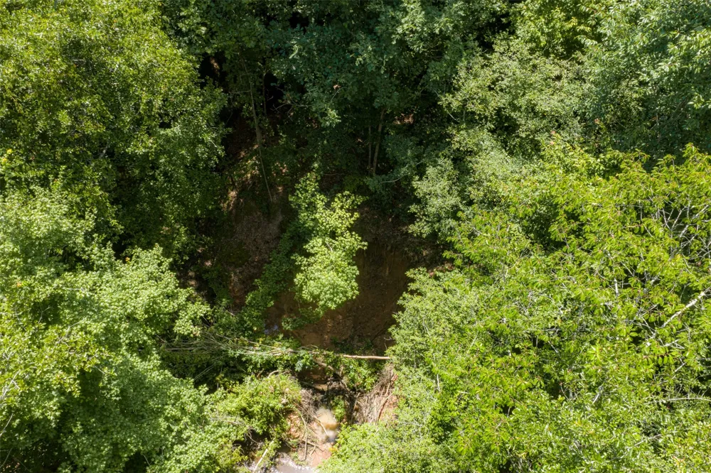 County Road 3154 De Berry, TX 75639