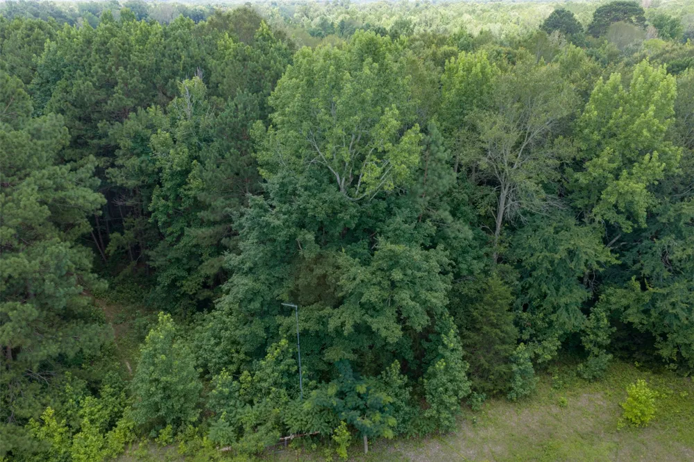 County Road 3154 De Berry, TX 75639