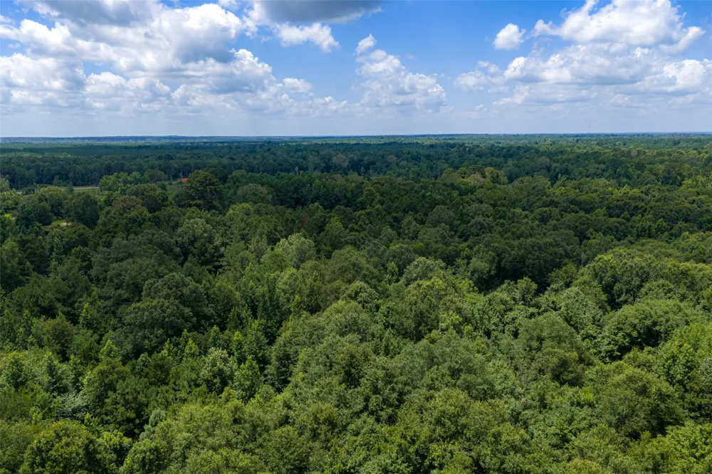 County Road 3154 De Berry, TX 75639