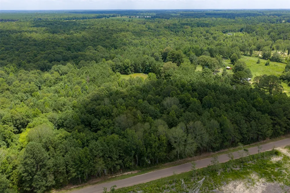 County Road 3154 De Berry, TX 75639