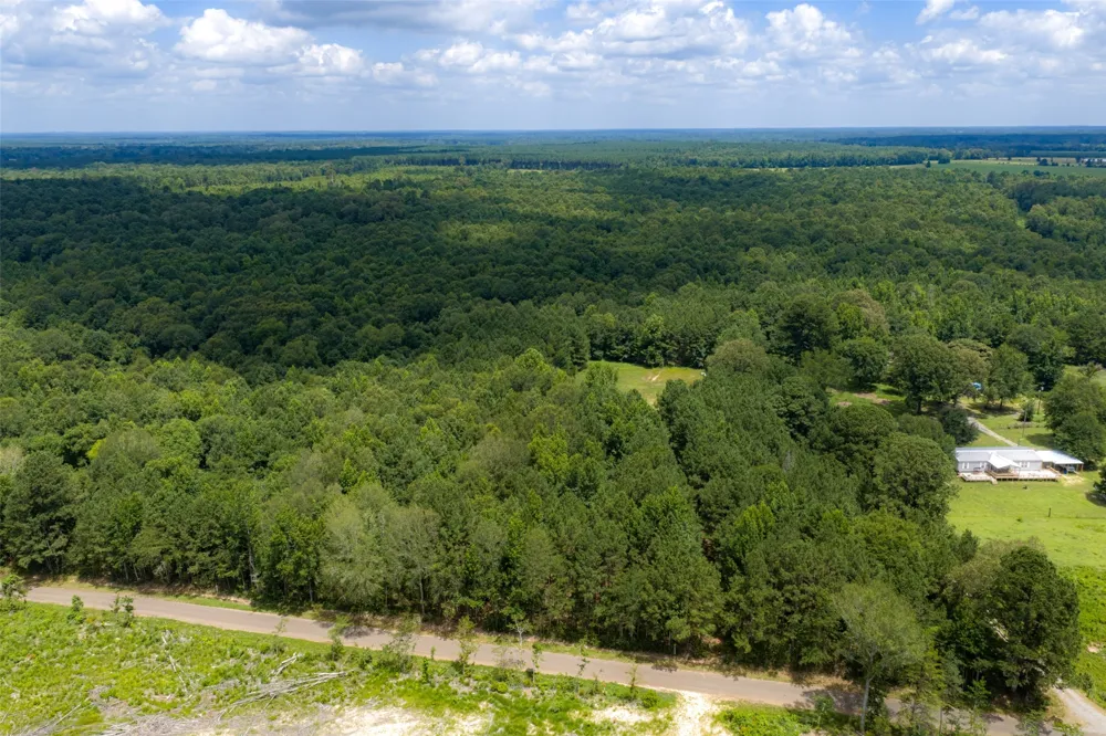 County Road 3154 De Berry, TX 75639