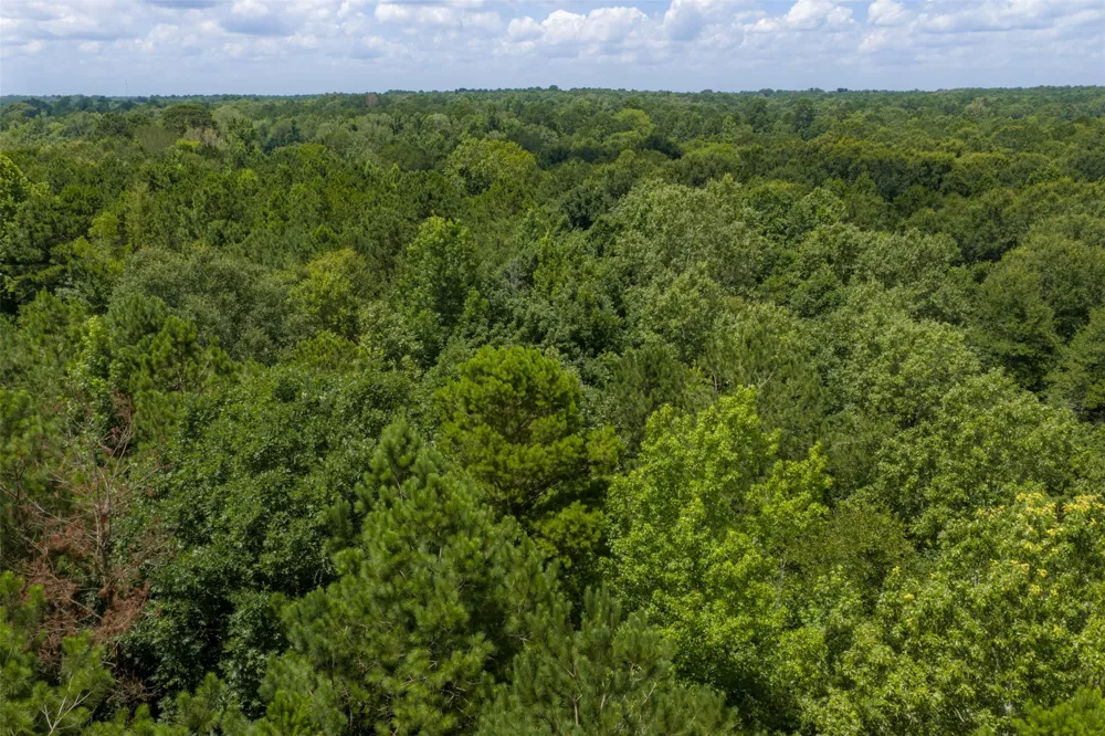 County Road 3154 De Berry, TX 75639