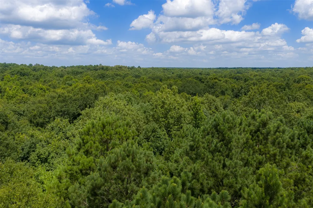 County Road 3154 De Berry, TX 75639