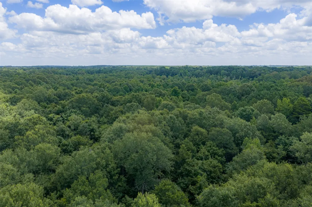 County Road 3154 De Berry, TX 75639
