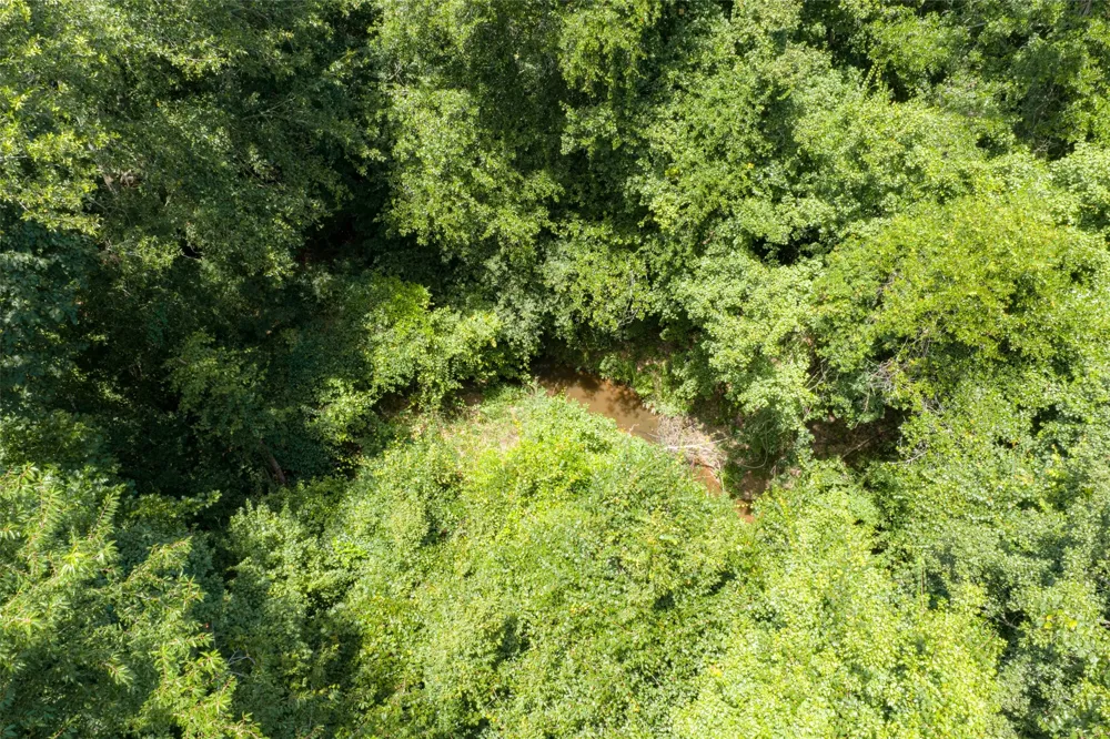 County Road 3154 De Berry, TX 75639
