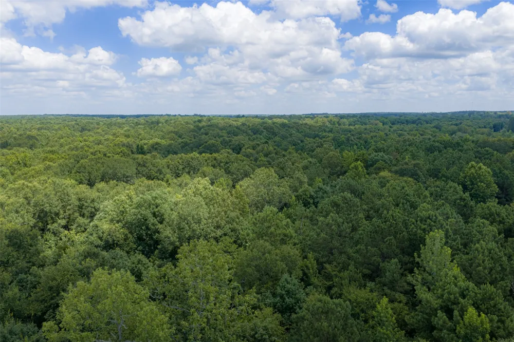 County Road 3154 De Berry, TX 75639