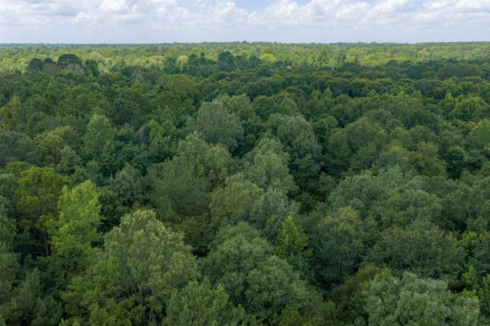 County Road 3154 De Berry, TX 75639