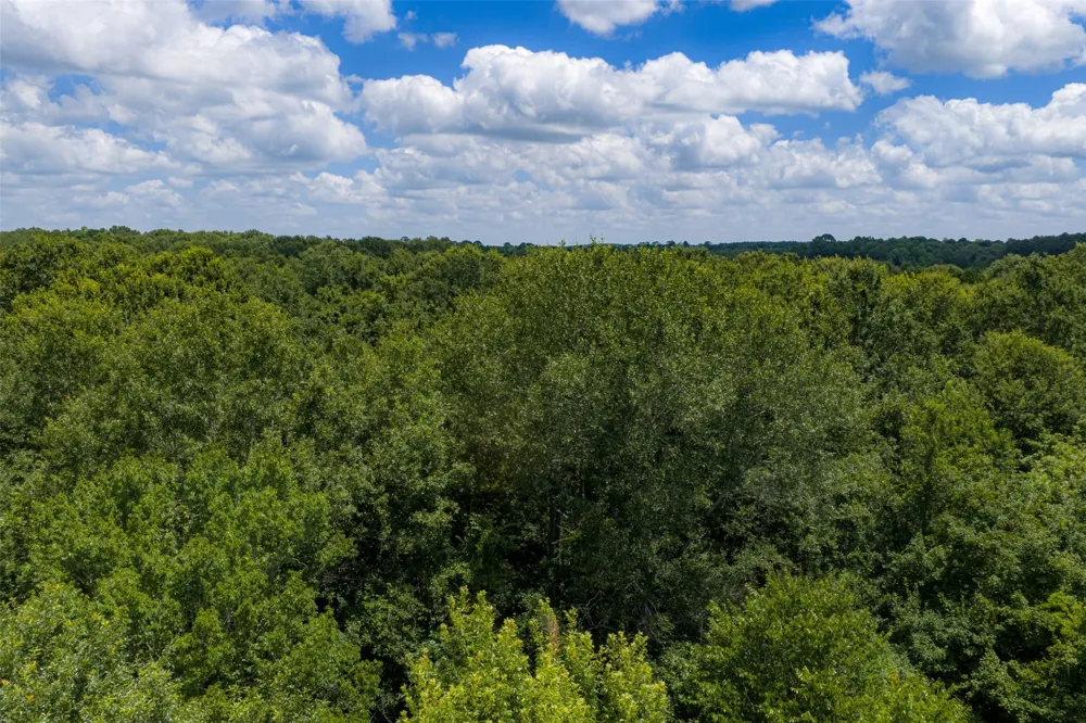 County Road 3154 De Berry, TX 75639