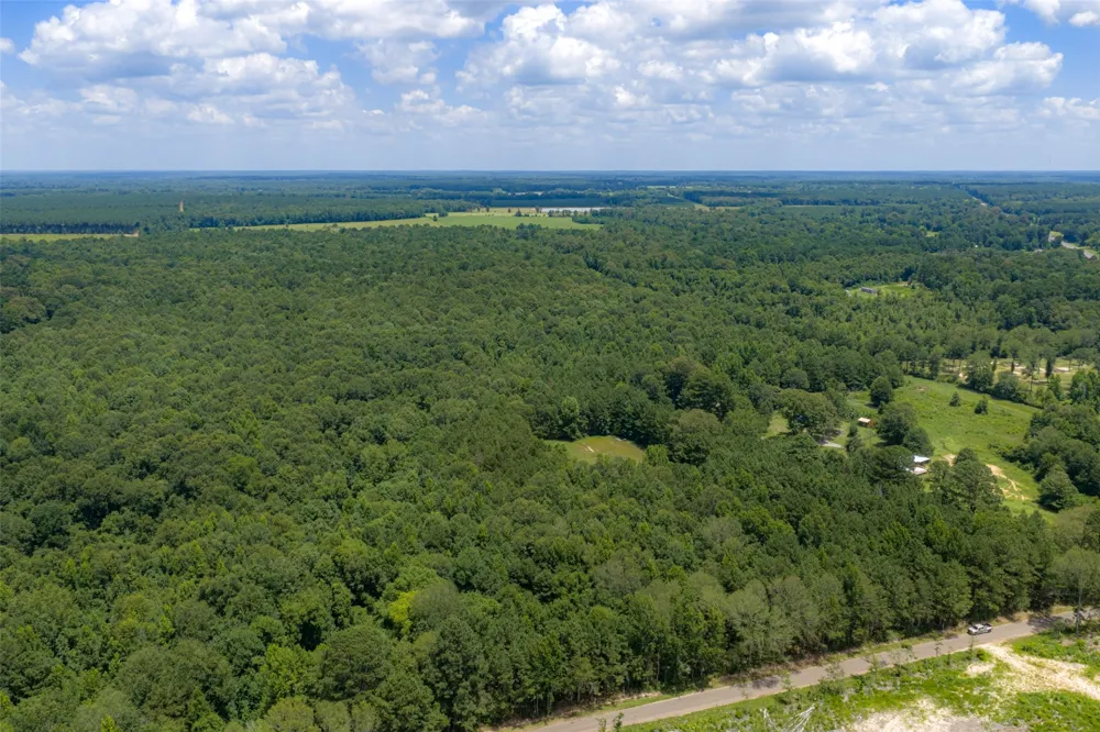 County Road 3154 De Berry, TX 75639