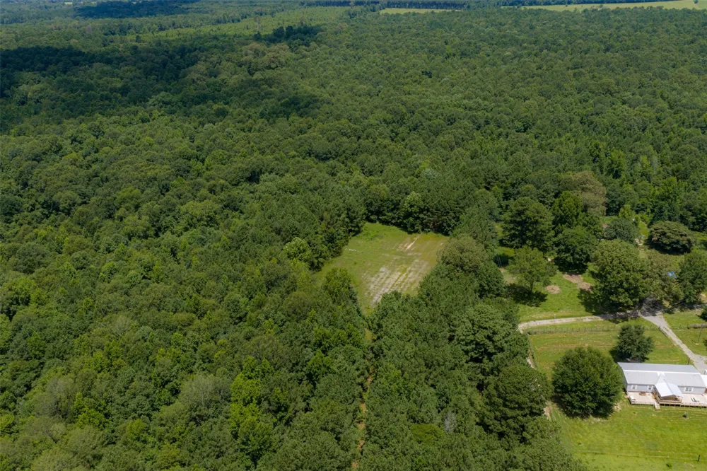 County Road 3154 De Berry, TX 75639