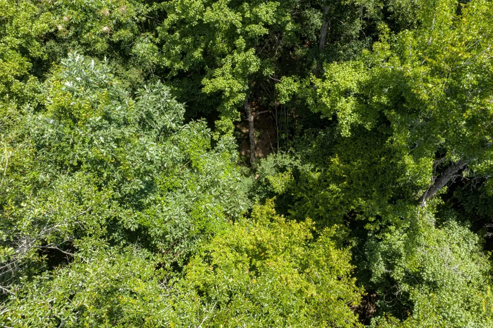 County Road 3154 De Berry, TX 75639