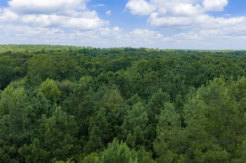 County Road 3154 De Berry, TX 75639
